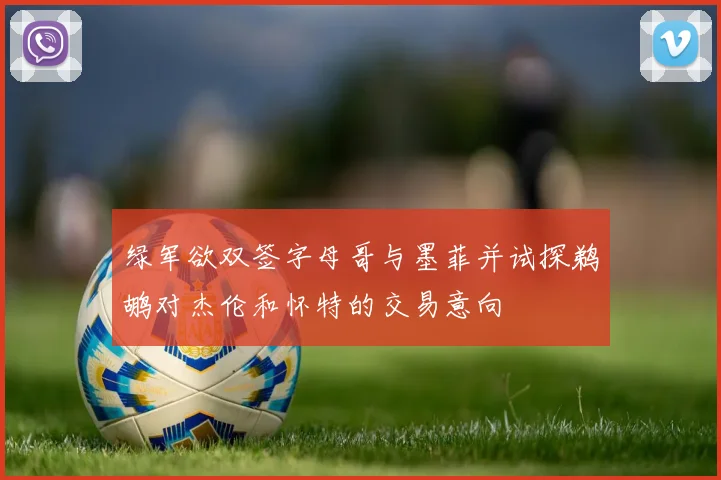 绿军欲双签字母哥与墨菲并试探鹈鹕对杰伦和怀特的交易意向