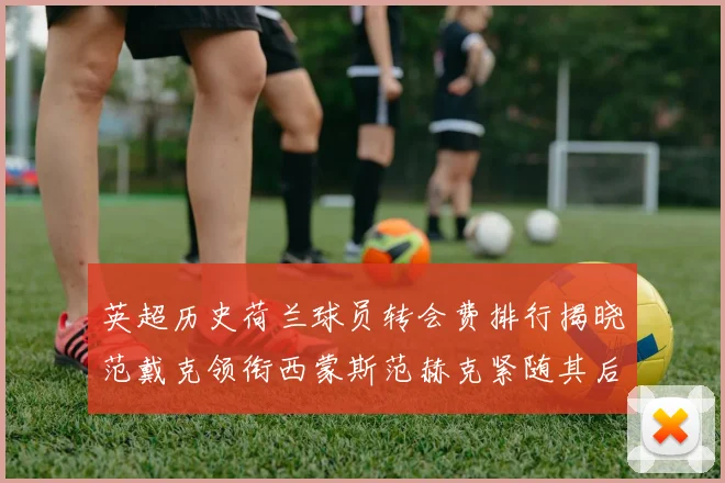 英超历史荷兰球员转会费排行揭晓范戴克领衔西蒙斯范赫克紧随其后